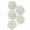 Sugar Flowers - White Blossoms / 30pcs - PME