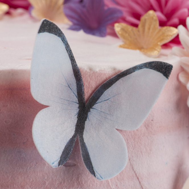 Papillon Comestible décoration⎪ecoledepatisserie-boutique®
