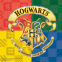 20 handdoek Harry Potter