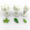 Dekofee Mini Plungers Leaves Set/3