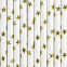 Party Deco Paper Straws 10pk : Theme:Gold Star