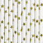 Party Deco Paper Straws 10st : Thema:Goud ster