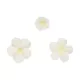 FunCakes Sugar Decorations Blossoms pk/64