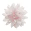 Fleurs en azyme - Dekora : Type de fleur et feuilles :Fleur D'automne Géante
