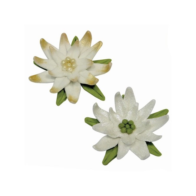 Set de 3 emportes pièces Calyx et fleur poinsettia - PME