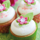 Mélange pour cupcakes sans gluten - Funcakes