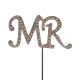 Lettres Mr en strass 