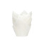 Tulip Baking Cups white pk/36