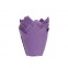 Tulip Baking Cups Paarse pk/36