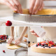 Decora - Perforated Baking Circle - 8cm