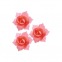 DBS - Red and Pink Daffodils 9pcs - 45mm