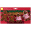 Set d'emporte-pièces - Famille Gingerbread/4pcs - Wilton 