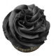 Lustre Spray BLACK 100ml PME 