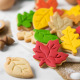Cookie cutter - Autumn leaves - 3pcs - Decora