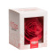 Fleurs en azyme - Dekora : Type de fleur et feuilles :Grande rose rouge