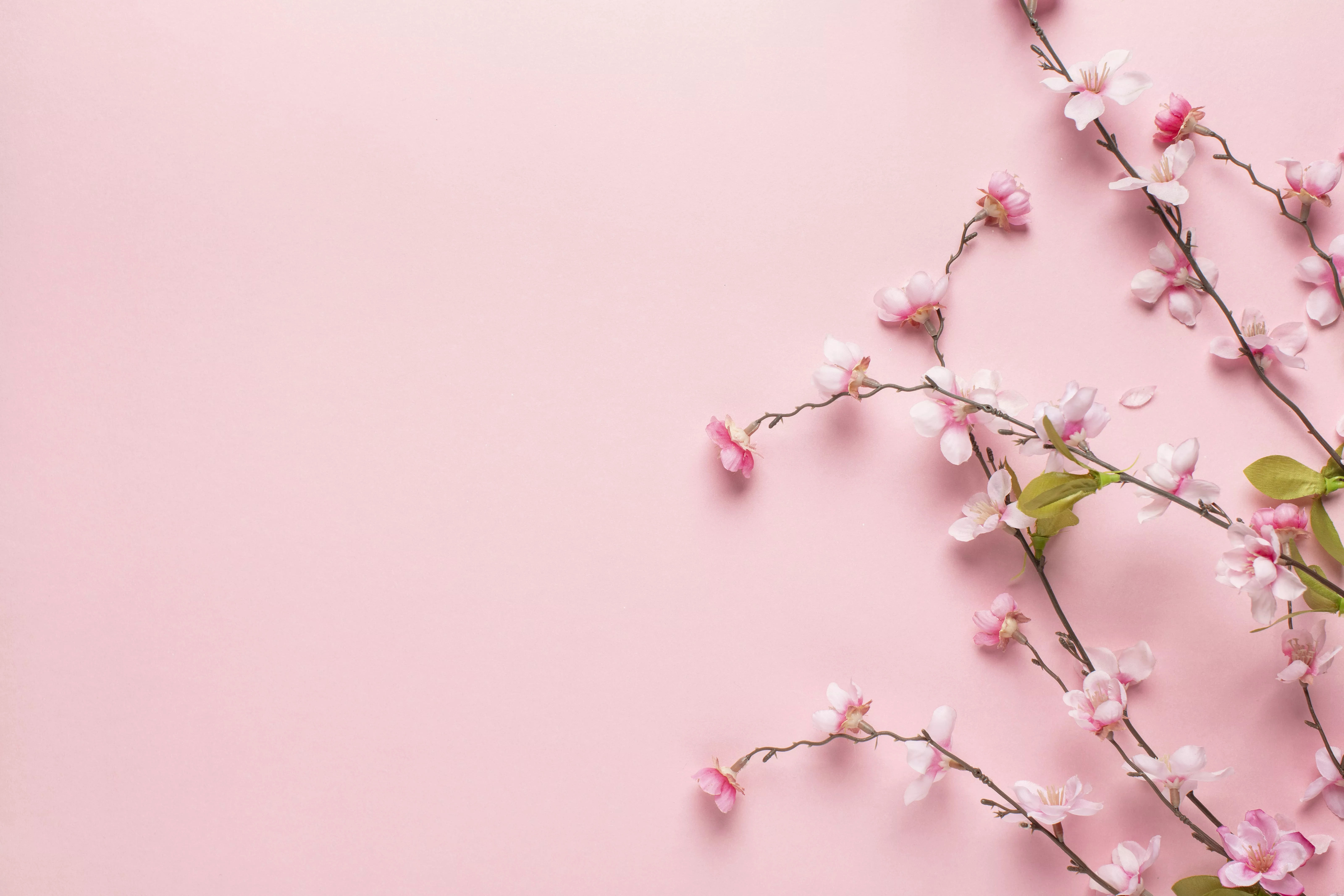 Slide background